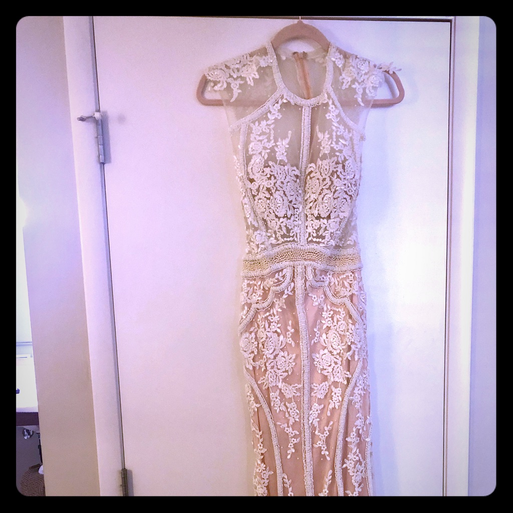 Beautiful Ivory Sequence Dressed With Blush Lining